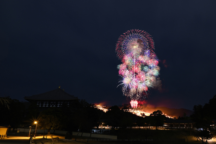 お写ん歩: 自然界アーカイブ